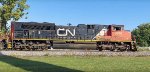 CN 8838